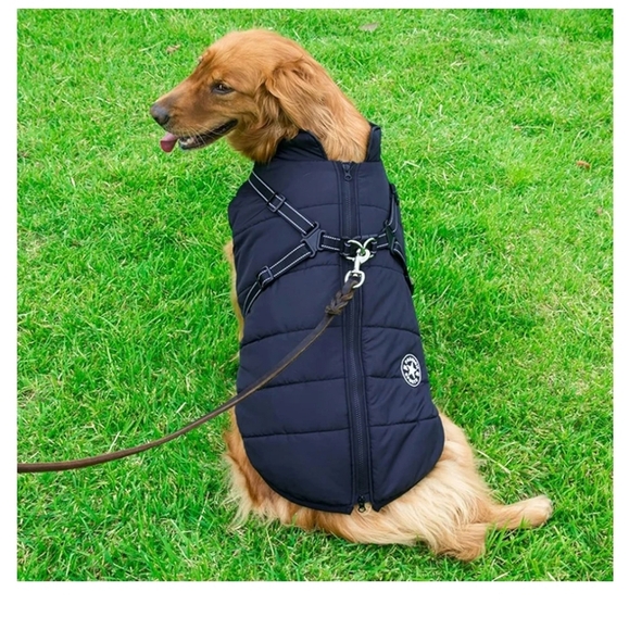 Blue Dog Jacket with Harness Waterproof And Warm - Picture 2 of 16